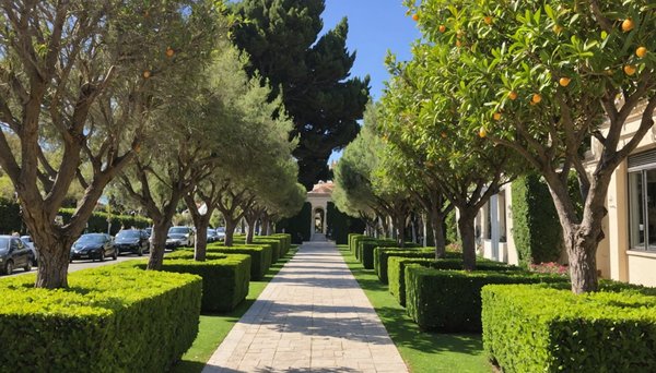 Élagage à cannes : sécurisez et embellissez votre jardin !